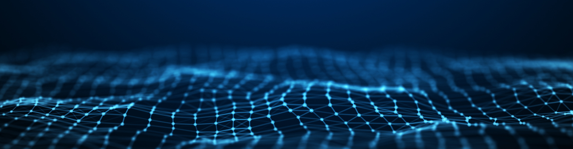 I programmi Flagship